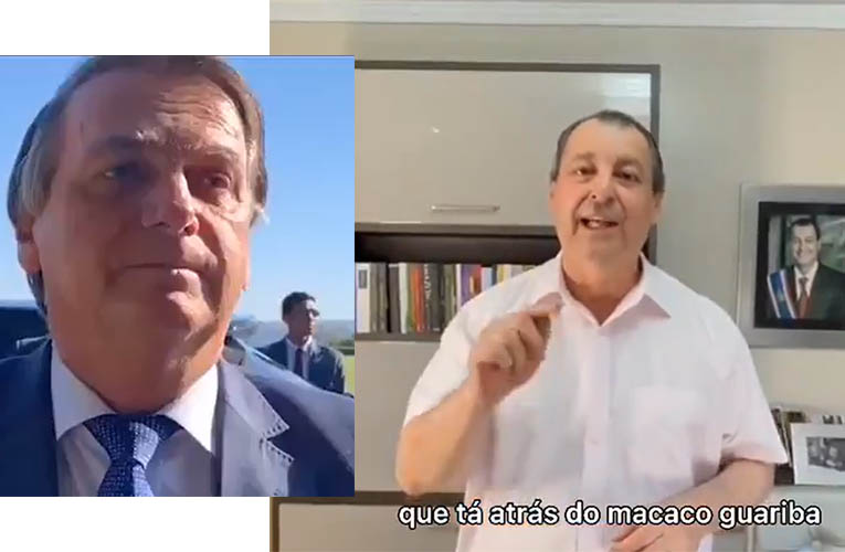 Bolsonaro chama Aziz de 'anta amazÃ´nica' e senador rebate em vÃ­deo: 'macaco guariba'