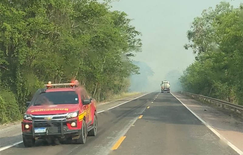 IncÃªndios no Pantanal fazem da BR-262 entre CorumbÃ¡ e Miranda a 'rota do fogo': vÃ­deo