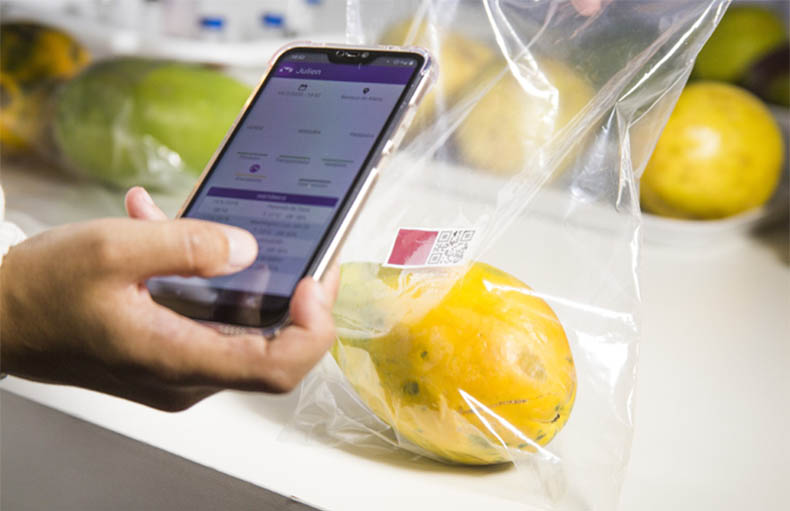 Nanosensor da Embrapa rastreia e monitora qualidade da fruta pelo celular
