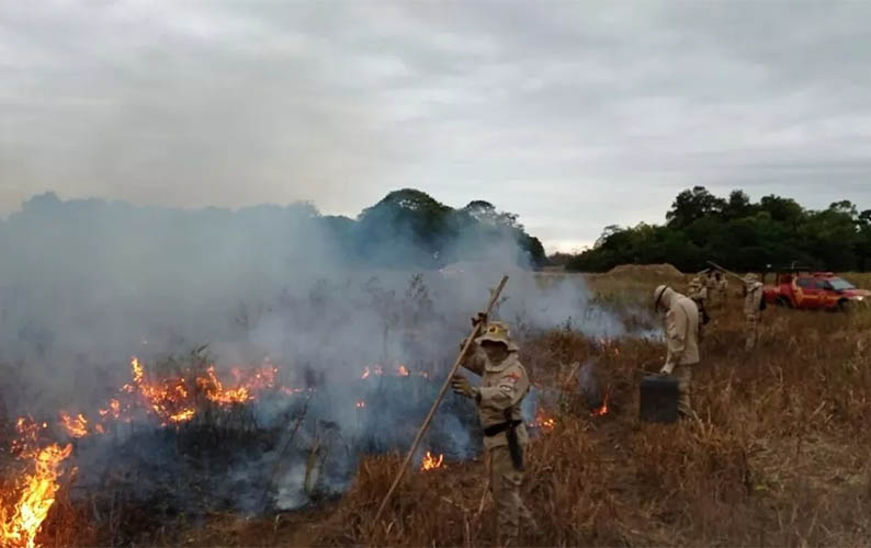 Governo federal reconhece emergÃªncia em municÃ­pios de MS por incÃªndios florestais