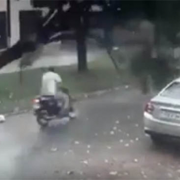 VÃ­deo mostra motociclista sendo atingido por Ã¡rvore e saindo ileso em Dourados