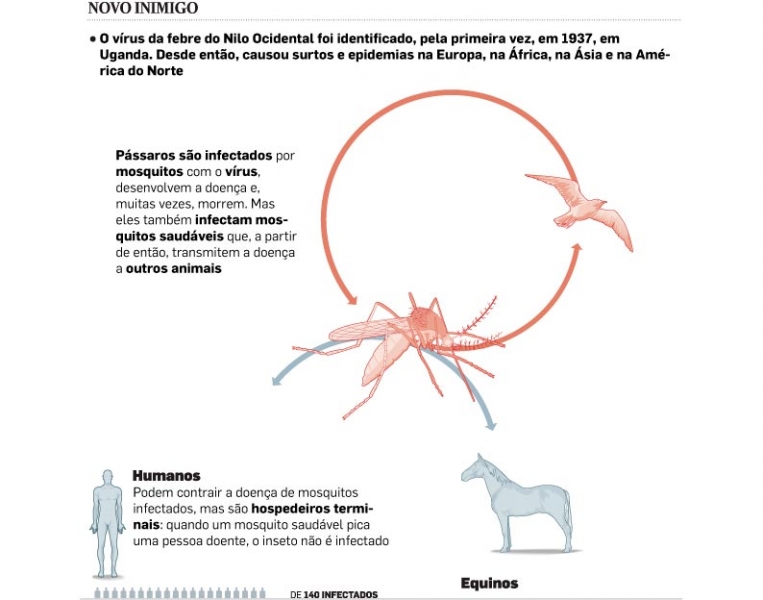 VÃ­rus da Febre do Nilo Ã© confirmado pela 1Âª vez no Brasil em cavalos do Pantanal de MS