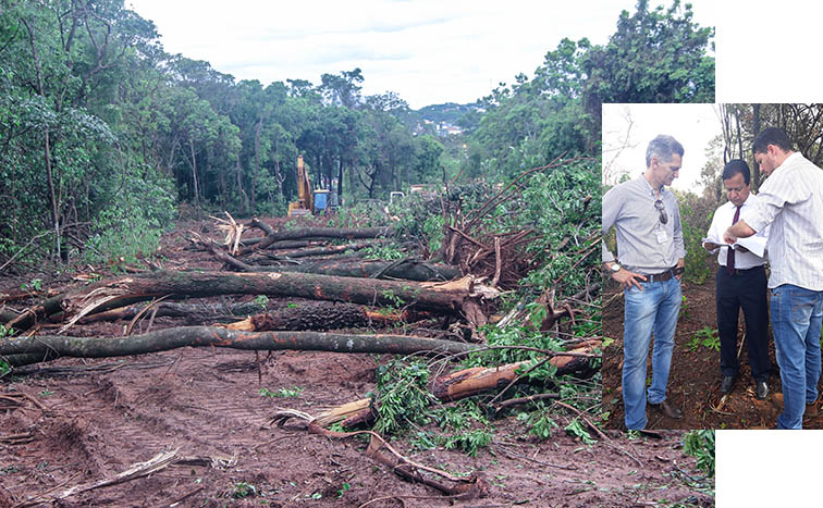 Deputado denuncia novo desmatamento de Ã¡rvores nativas no Parque dos Poderes