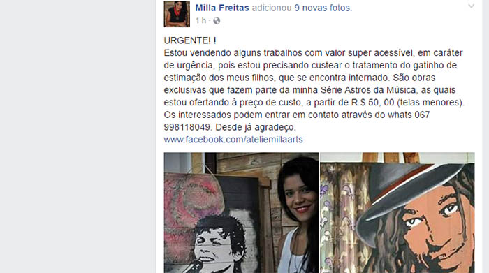 Para tratar de gato, artista plÃ¡stica anuncia promoÃ§Ã£o de telas em Campo Grande