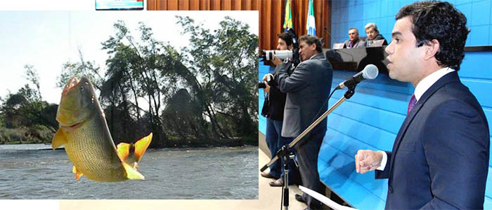 ProibiÃ§Ã£o da pesca do dourado nos rios de Mato Grosso do Sul em debate na Assembleia