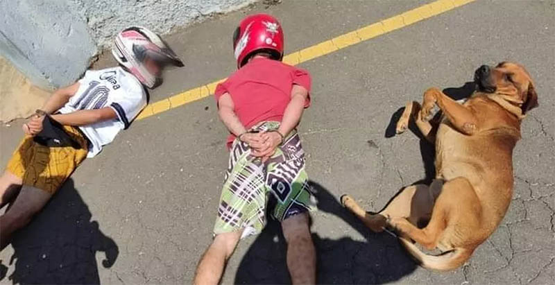Cachorro 'solidÃ¡rio' deita ao lado de homens revistados pela PM e foto viraliza na internet