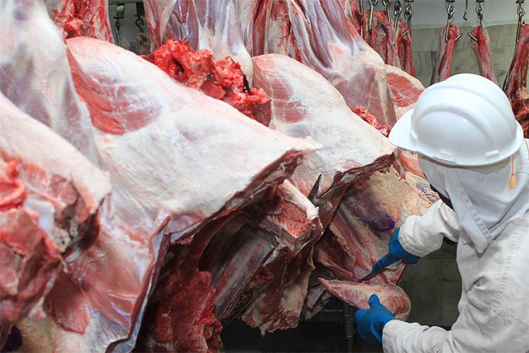Brasil suspende exportaÃ§Ã£o de carne para a China apÃ³s confirmar casos de 'vaca louca'