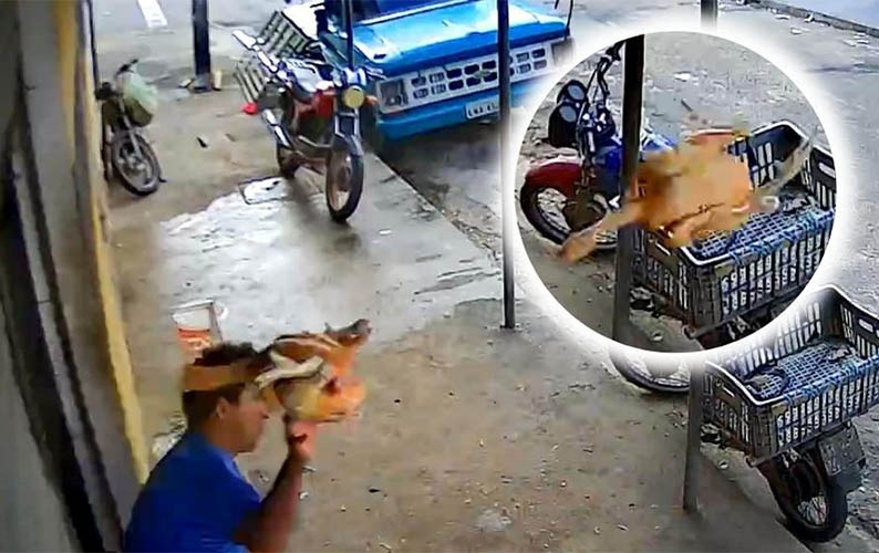 Comerciante dispara frango em ladrÃ£o: vÃ­deo