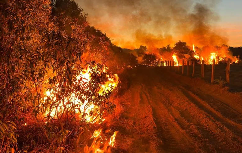 PMA multa em R$ 19 milhÃµes dona de fazenda onde comeÃ§ou grande incÃªndio no Pantanal