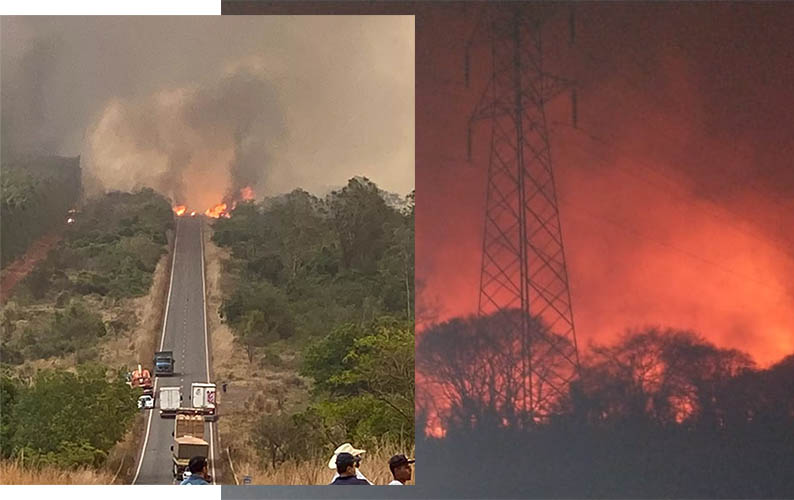 IncÃªndios florestais destroem vegetaÃ§Ã£o e interditam rodovia em TrÃªs Lagoas