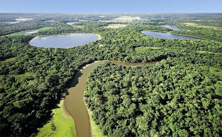 Projeto suspende por 5 anos autorizaÃ§Ãµes para desmatamento no Pantanal em MS