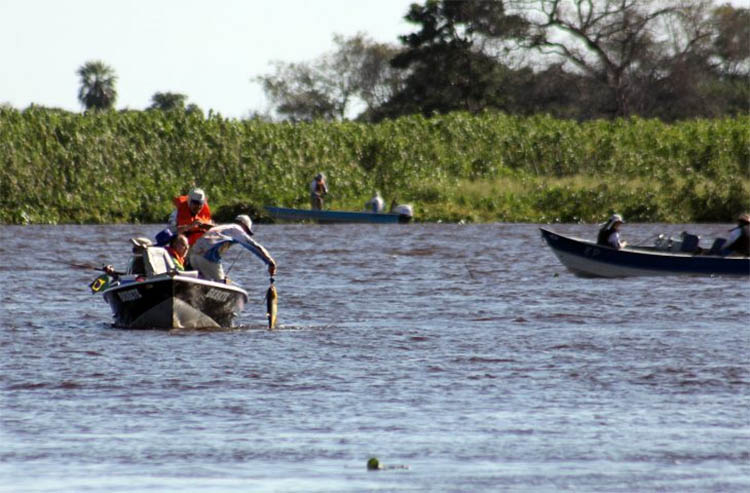 'Pesque e solte' estÃ¡ liberado a partir de hoje nas calhas dos rios Paraguai e ParanÃ¡