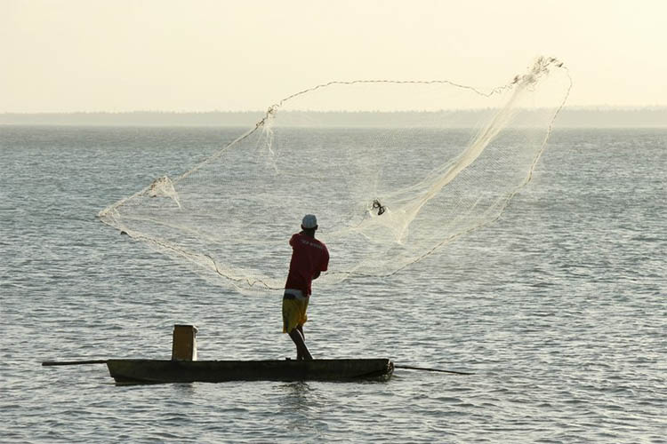 PSD aciona o Supremo questionando lei que proÃ­be pesca profissional em Mato Grosso