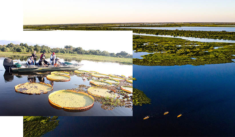 Ainda nÃ£o pescou neste ano? A melhor Ã©poca Ã© agora no Pantanal de CorumbÃ¡