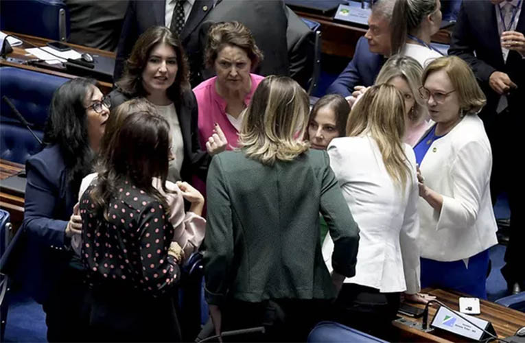 Mulheres querem ter uma lÃ­der no Senado
