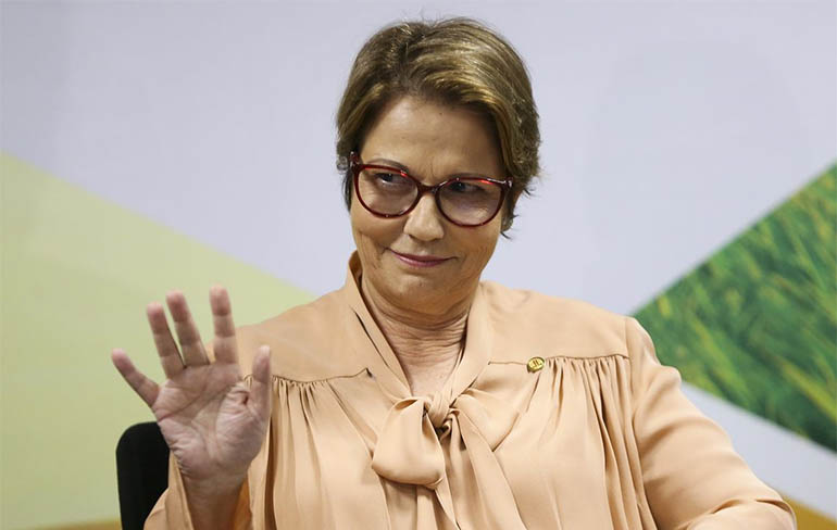 Tereza Cristina diz que Bolsonaro Ã© a favor do perdÃ£o das dÃ­vidas com Funrural