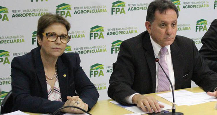 Tereza Cristina vai presidir a Frente Parlamentar da AgropecuÃ¡ria