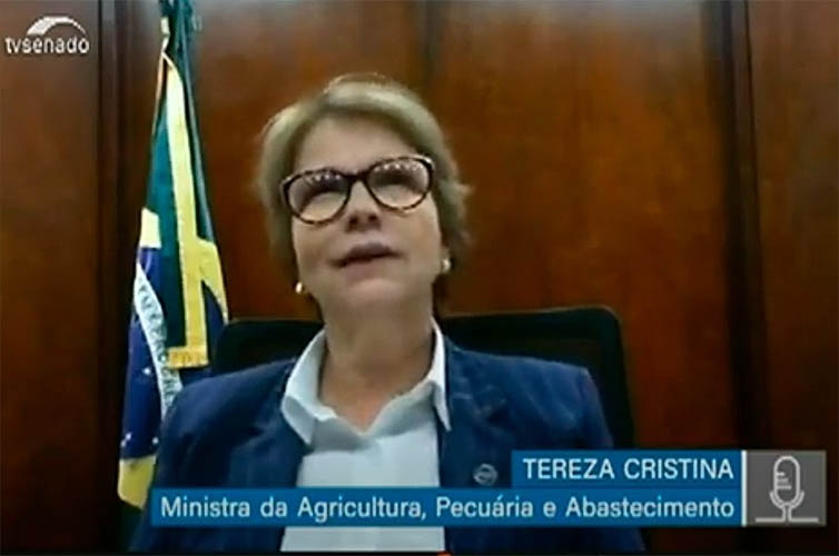 Ministra diz que 'boi Ã© bombeiro do Pantanal' e defende rebanho maior