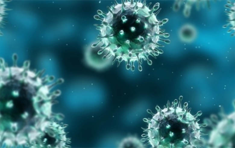 Cientistas descobrem variaÃ§Ã£o de vÃ­rus da gripe com potencial para gerar pandemia